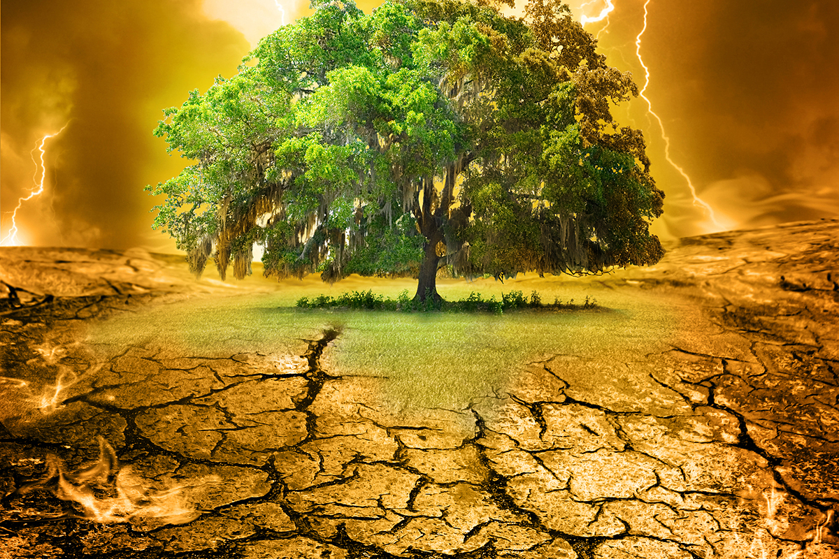 UK fresh produce supply faces climate threat by 2050