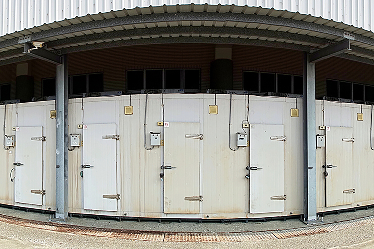Year-round fruit supply in Australia depends on cold storage