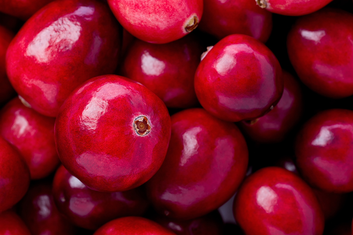 Oregon saw a 17.5% Y-o-Y increase in cranberry harvest in 2023 - Vimarsana News
