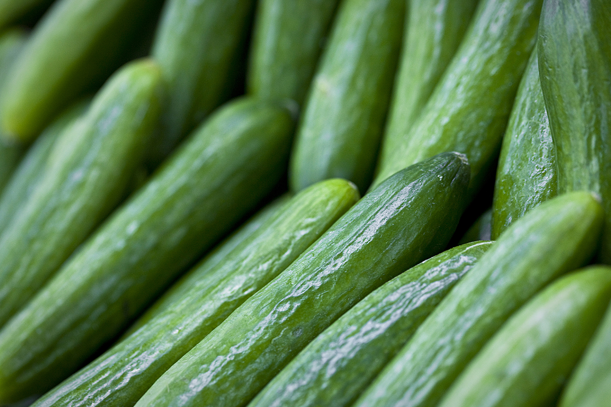 Komkommers in Duitsland en Zwitserland fors duurder