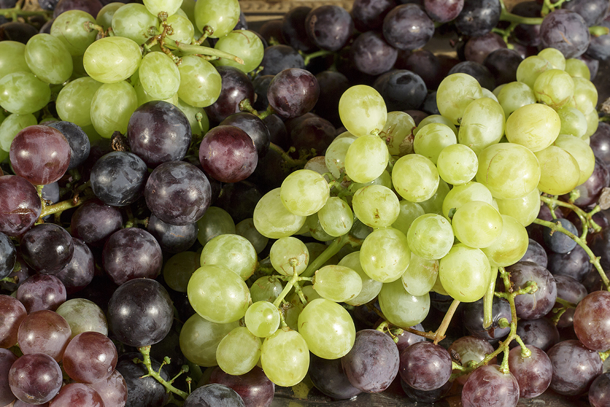 Экспорт молдавского винограда растёт на фоне падения цен