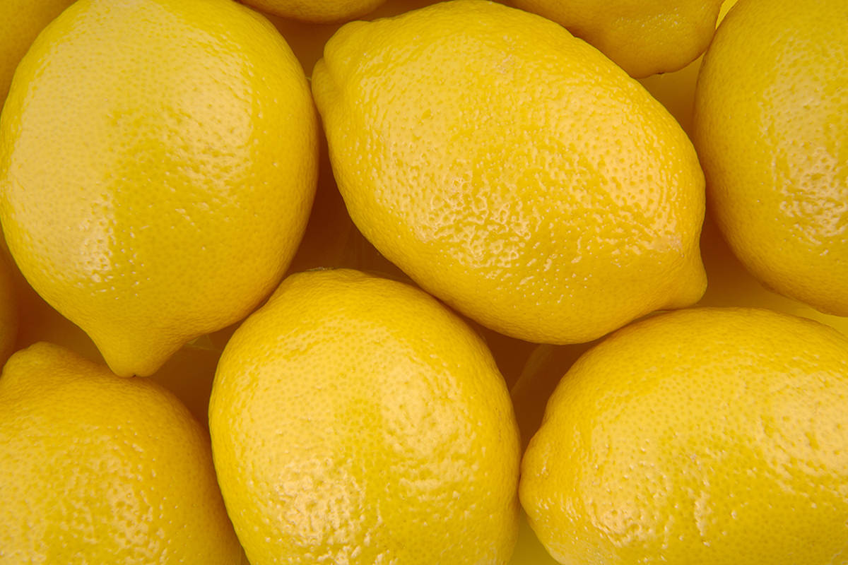 Citrus farming is primary fruit-growing sector in Paraná state - Vimarsana News