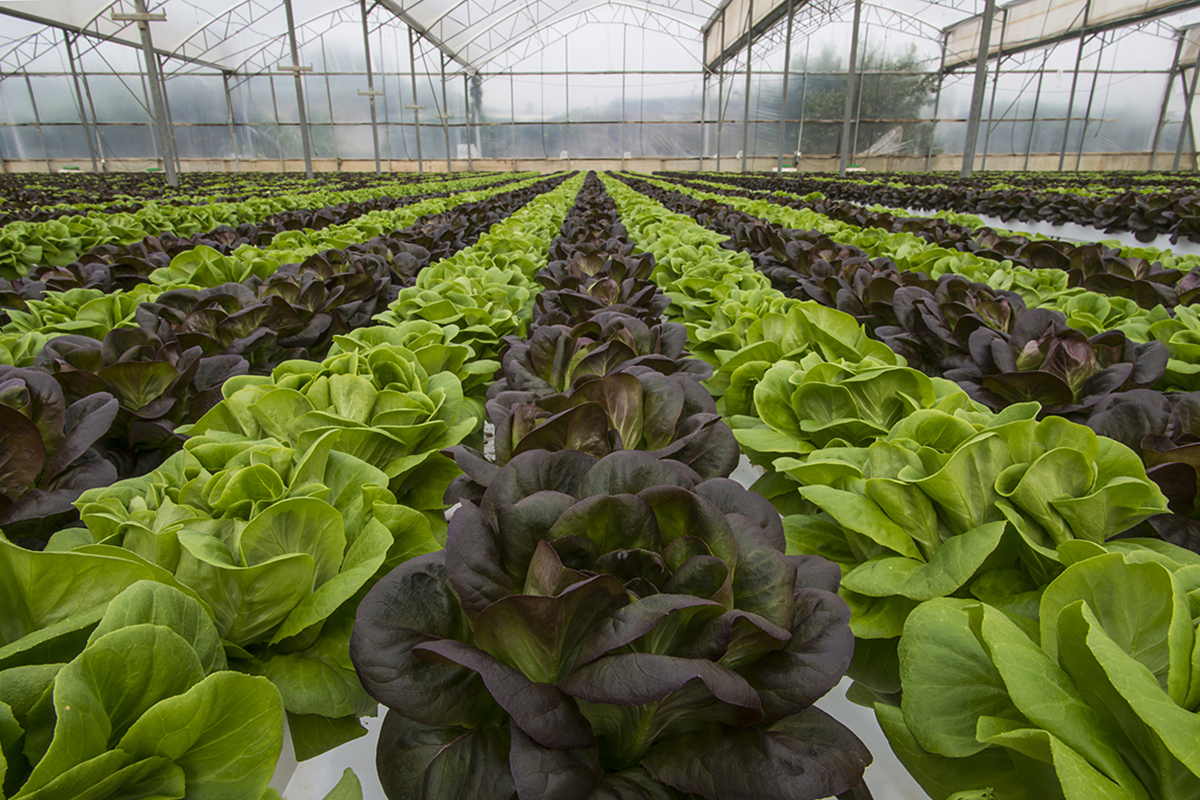 U.S. House Farm Bill expands support for organic agriculture