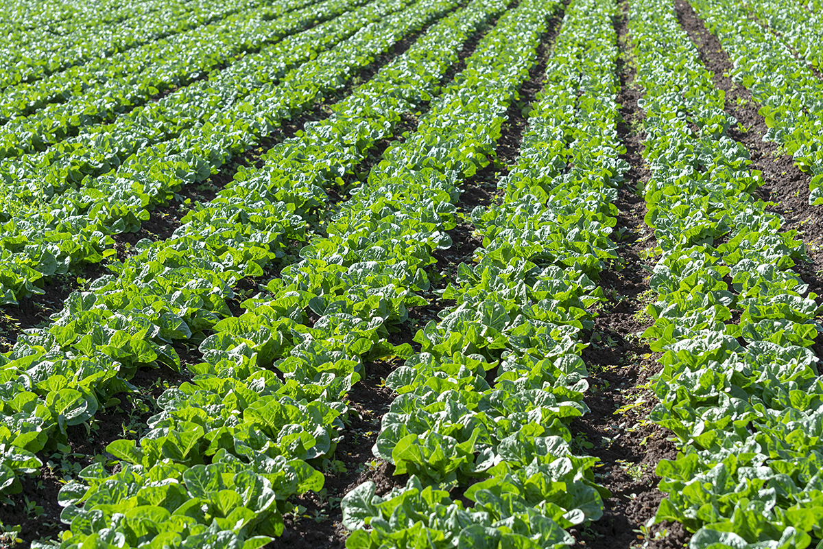 Naturland lanceert nieuw e-learningprogramma over verantwoord watergebruik