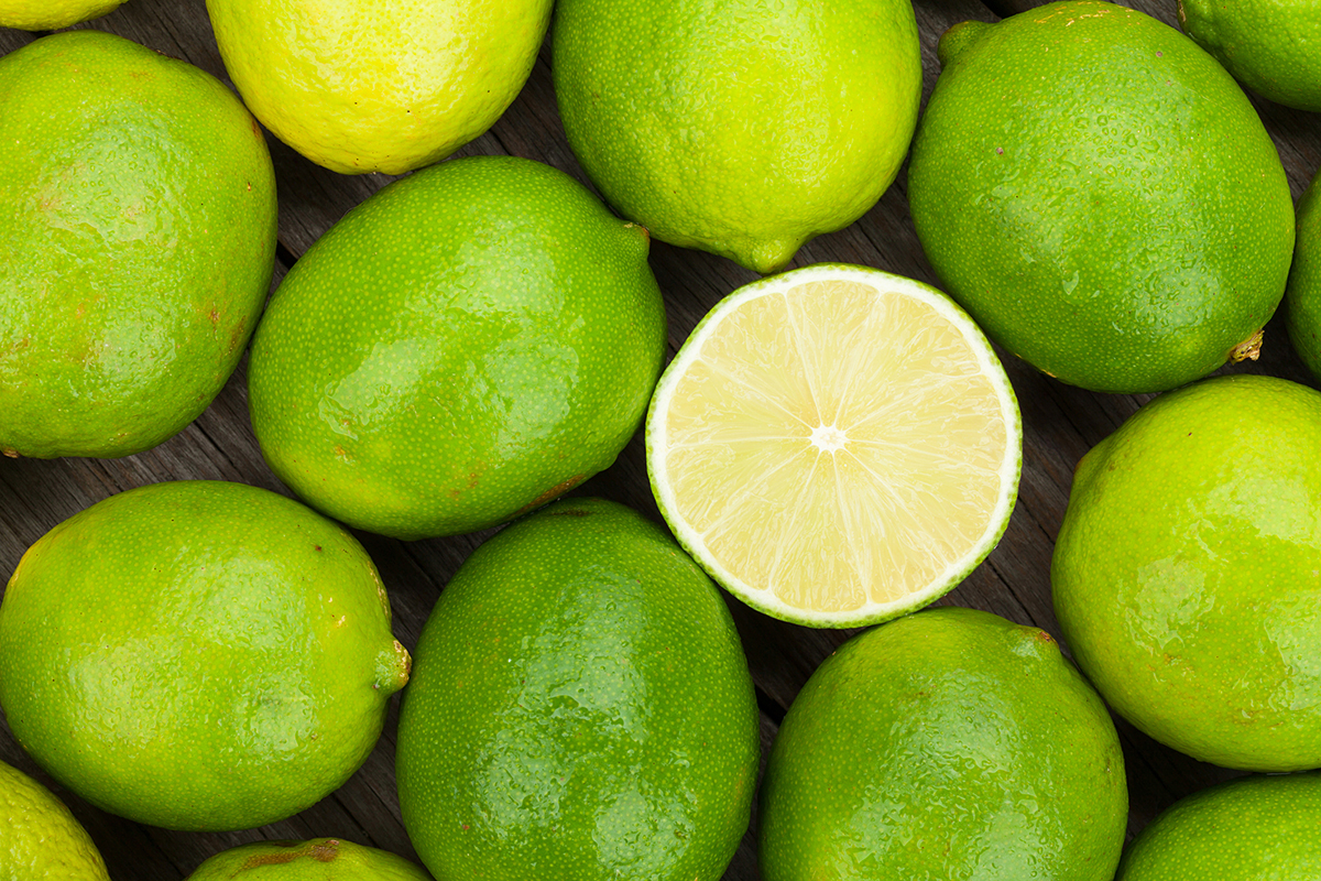 Lime Infrch Mexico exports first Persian lime shipment from Papantla to Russia