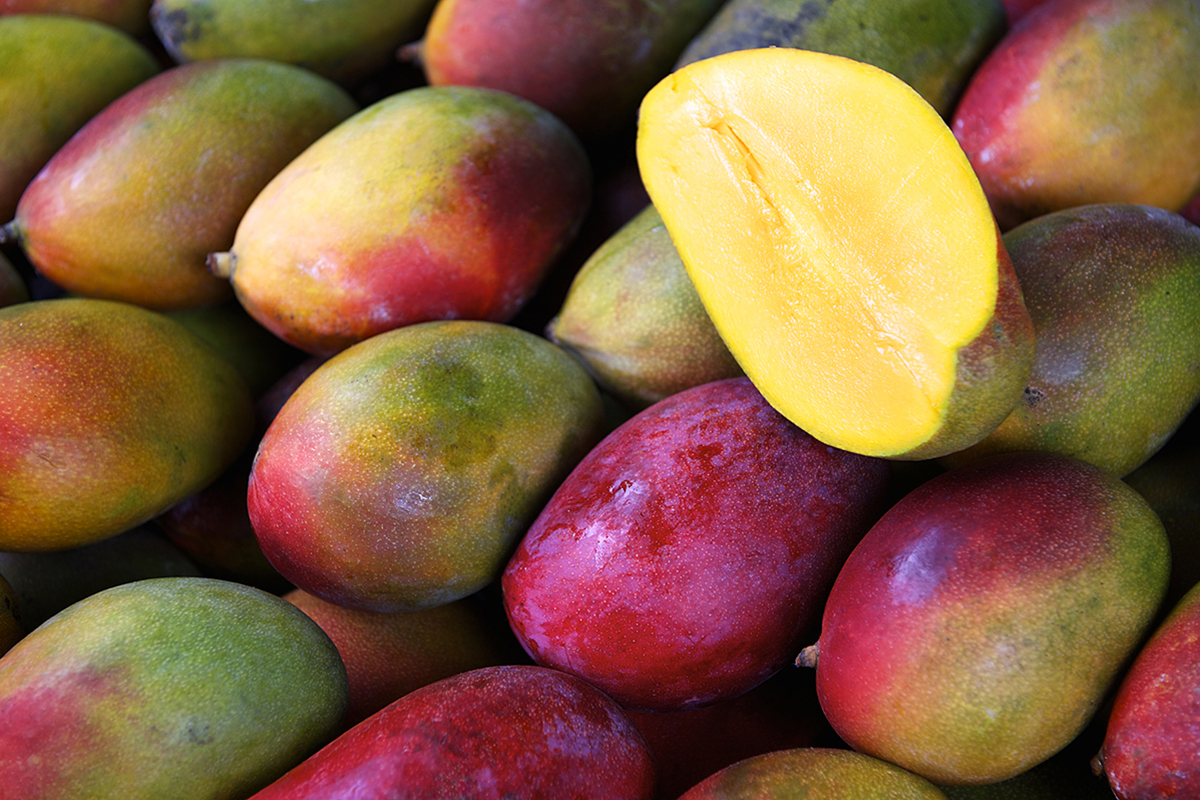 EU staat export van Taiwanese mango’s en guaves opnieuw toe