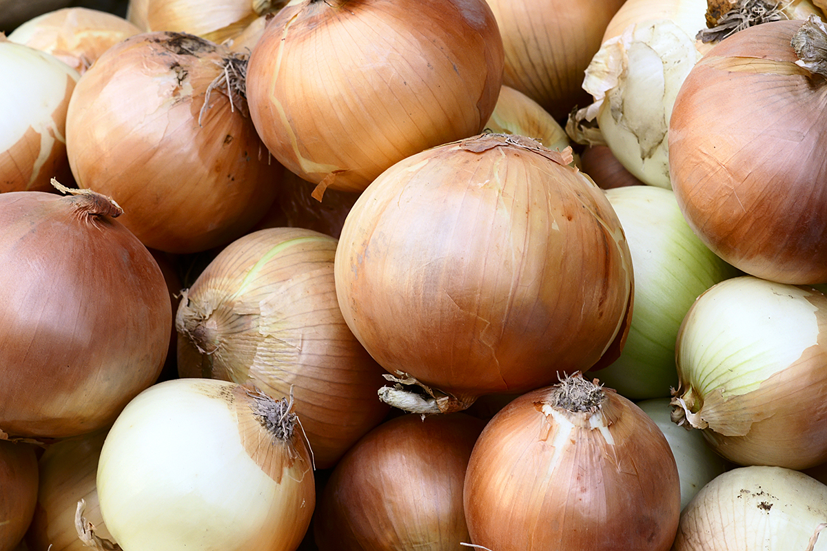 Kirgizië blokkeert bijna 27.000 ton uien uit Oezbekistan