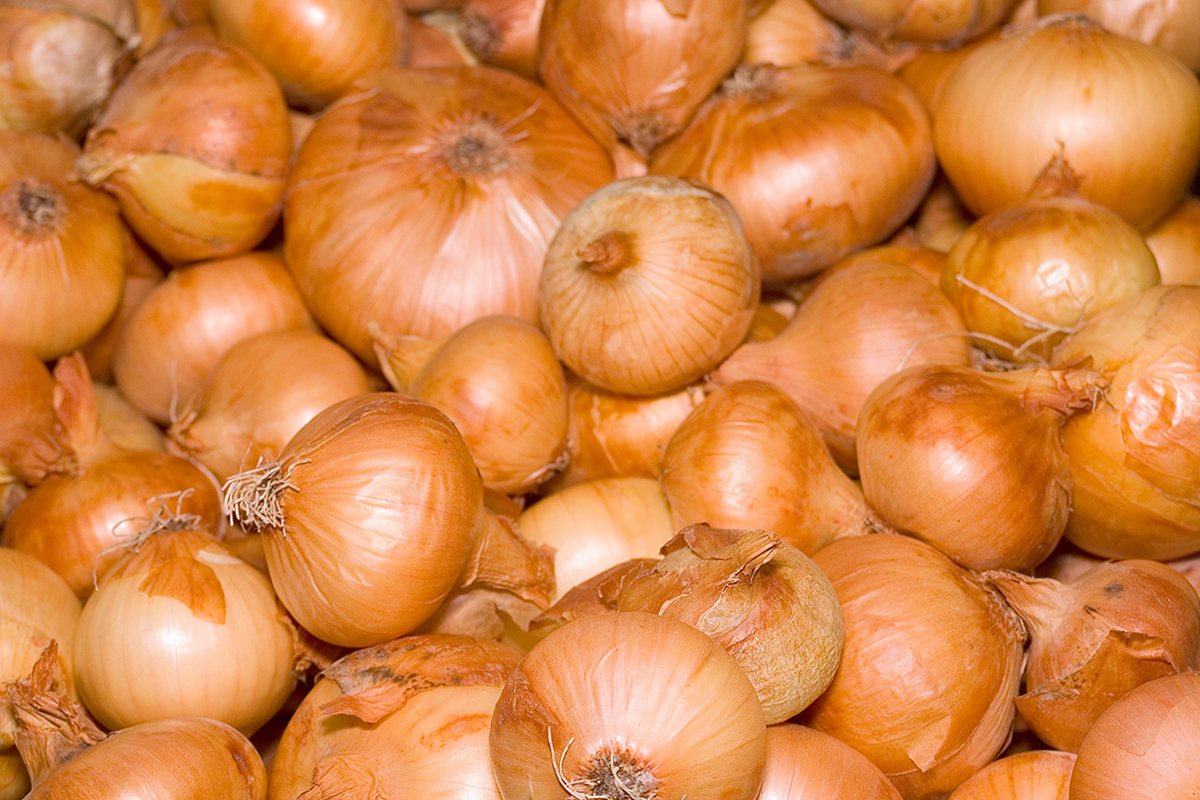 Nigeria wil exportpositie uien versterken binnen West-Afrika