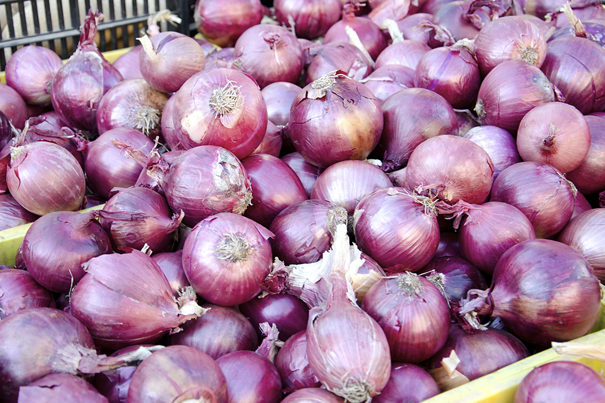 Nigeriaanse uienteelt bereikt 2,1 miljoen ton per jaar