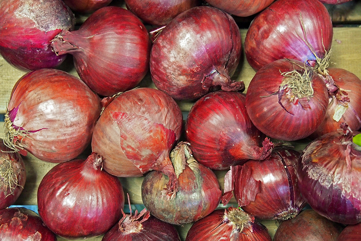 Onion smuggling racket busted in Nagpur, India - Vimarsana News