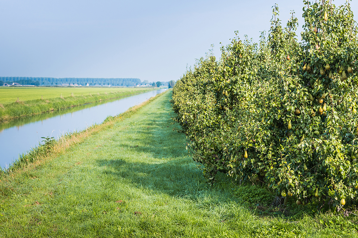Europese organisaties roepen op tot focus op concurrentiekracht en investeringen