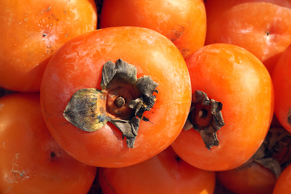 Азербайджан нарастил экспорт орехов и фруктов