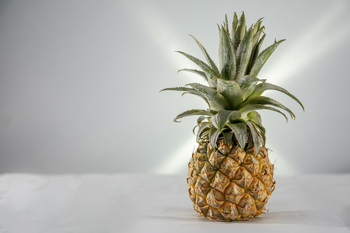 La piña peruana llegó a 14 destinos en el primer trimestre