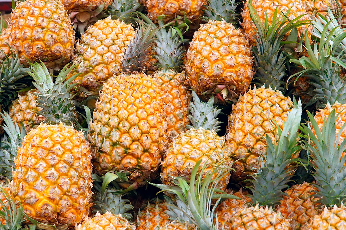 Экспорт ананасов из Тайваня в Японию растёт