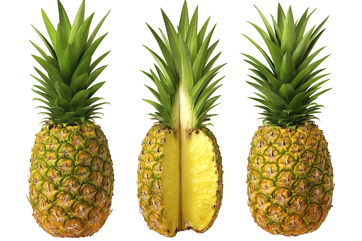 La piña panameña gana acceso al mercado de Nueva Zelanda