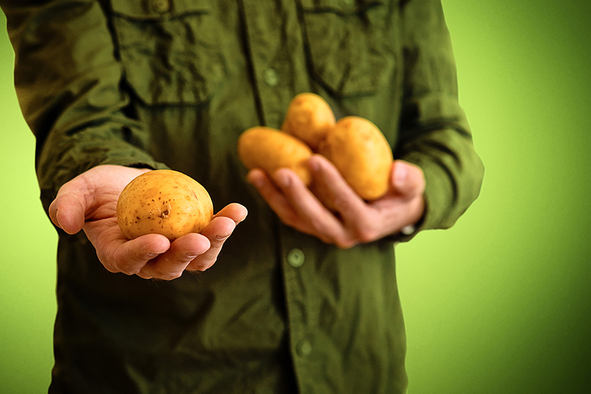 Senate effort keeps potato classified as a vegetable in the U.S. - Vimarsana News