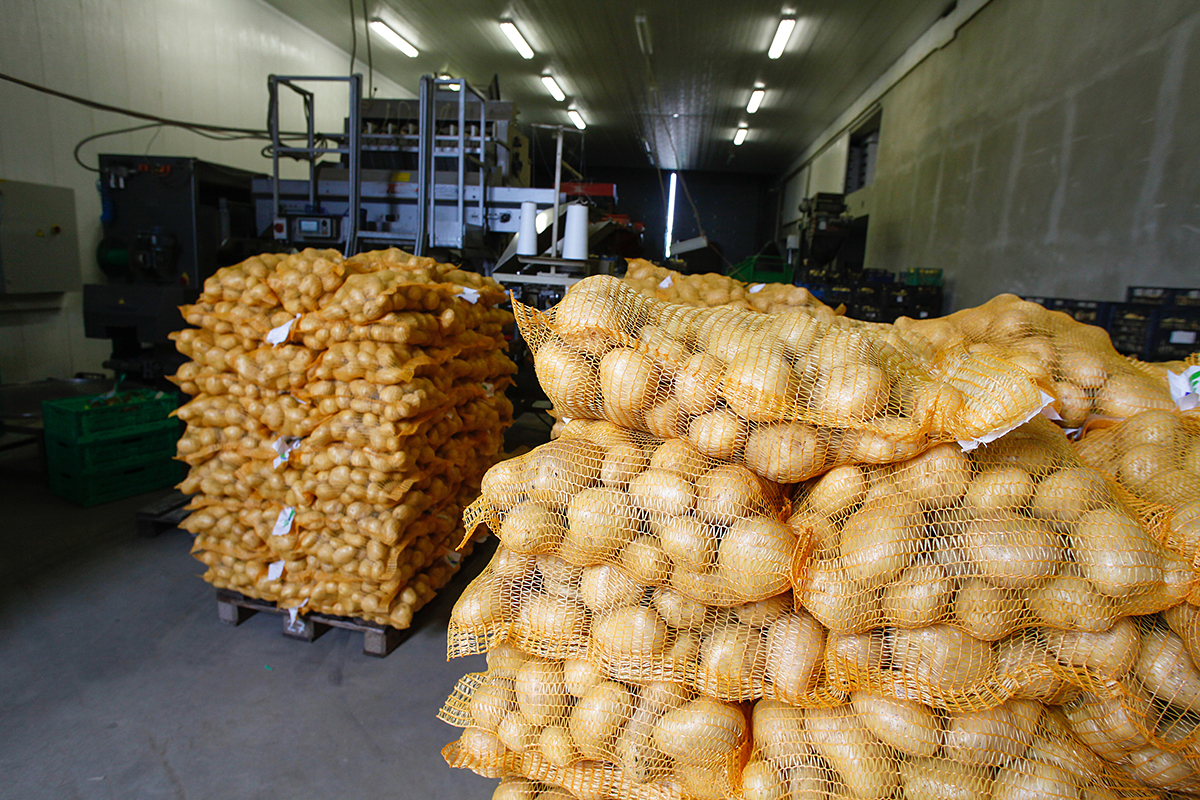 Aardappelen: Duitse kwaliteitsproblemen beïnvloeden Noordwest-Europese markt