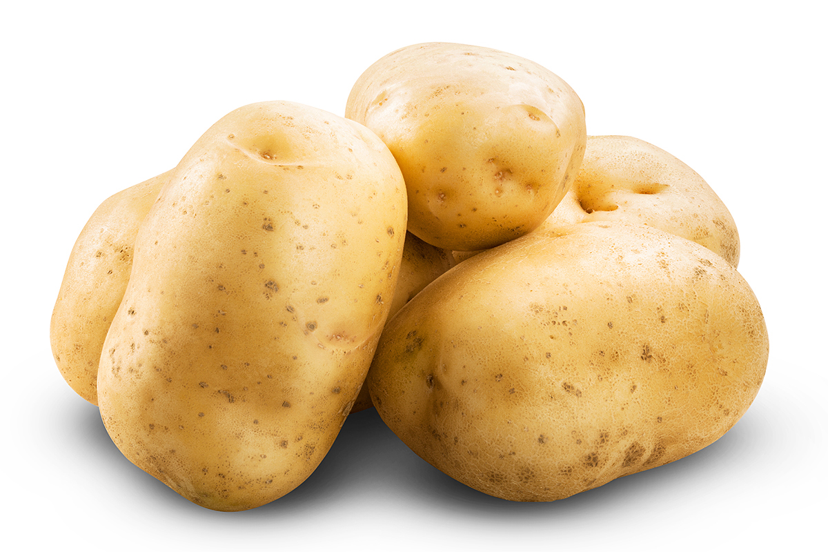 Potato Fp Opbrengst GM-aardappelen stijgt in Nigeria
