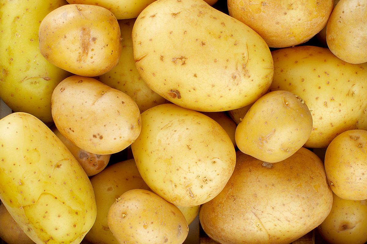 Potato Fp Prices for new potatoes in Bulgaria soar in spring 2025