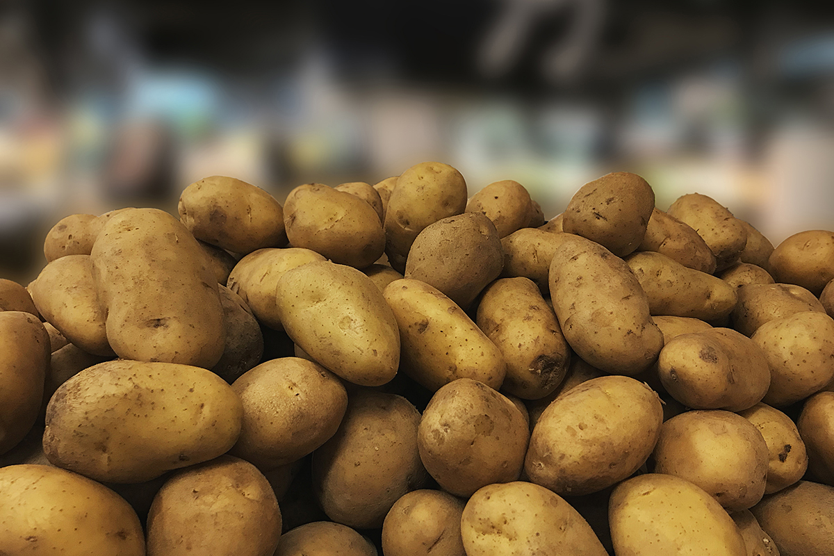 Recordvoorraad zet Belgische aardappeltelers voor lastige keuzes