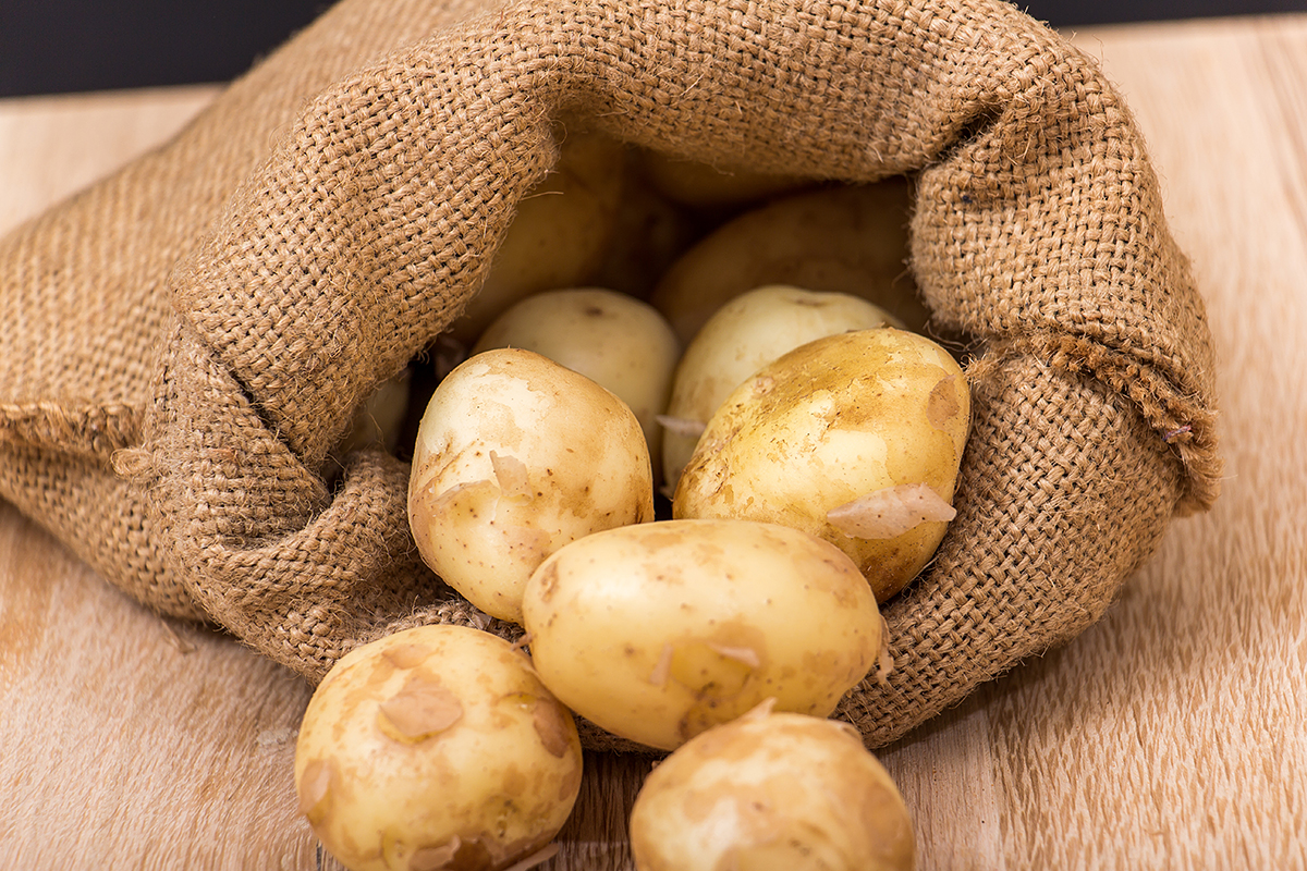 Aardappelimport Oekraïne 5,1 keer hoger – Nederland en Polen belangrijke leveranciers