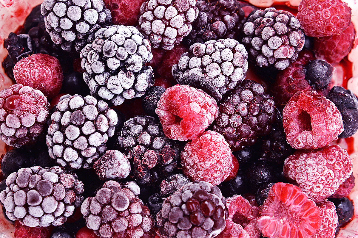 Oekraïne opent nieuwe diepvriesfabriek voor zachtfruit