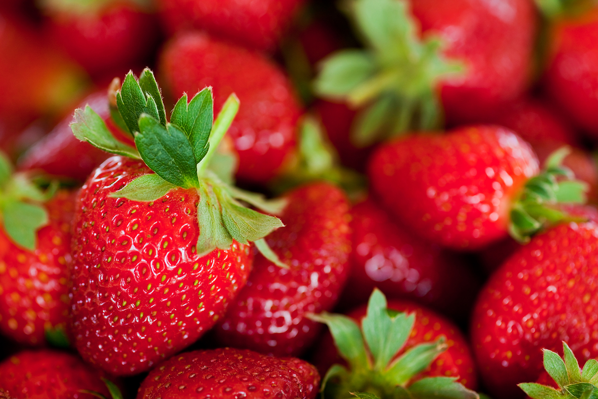 China leads global strawberry production with