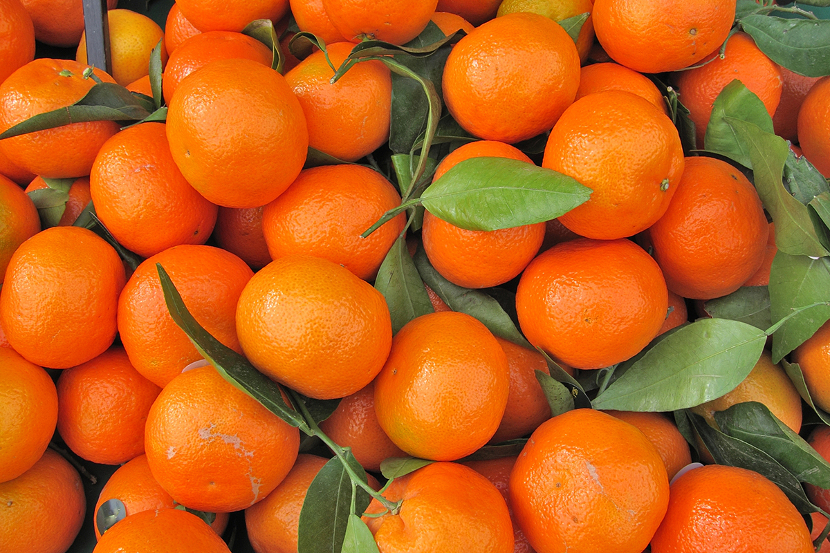 Sargodha citrus exports exceed 97,000 tons this season