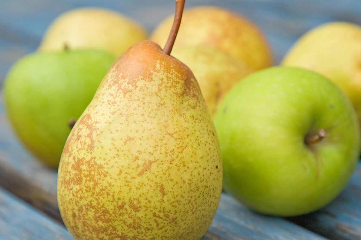 Europese appelvoorraad stijgt 12,8%