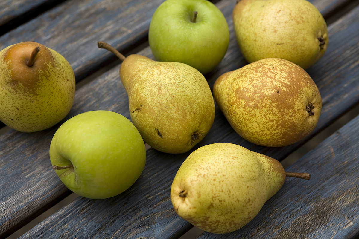 Queenstown to host New Zealand apple and pear EXPO 2026