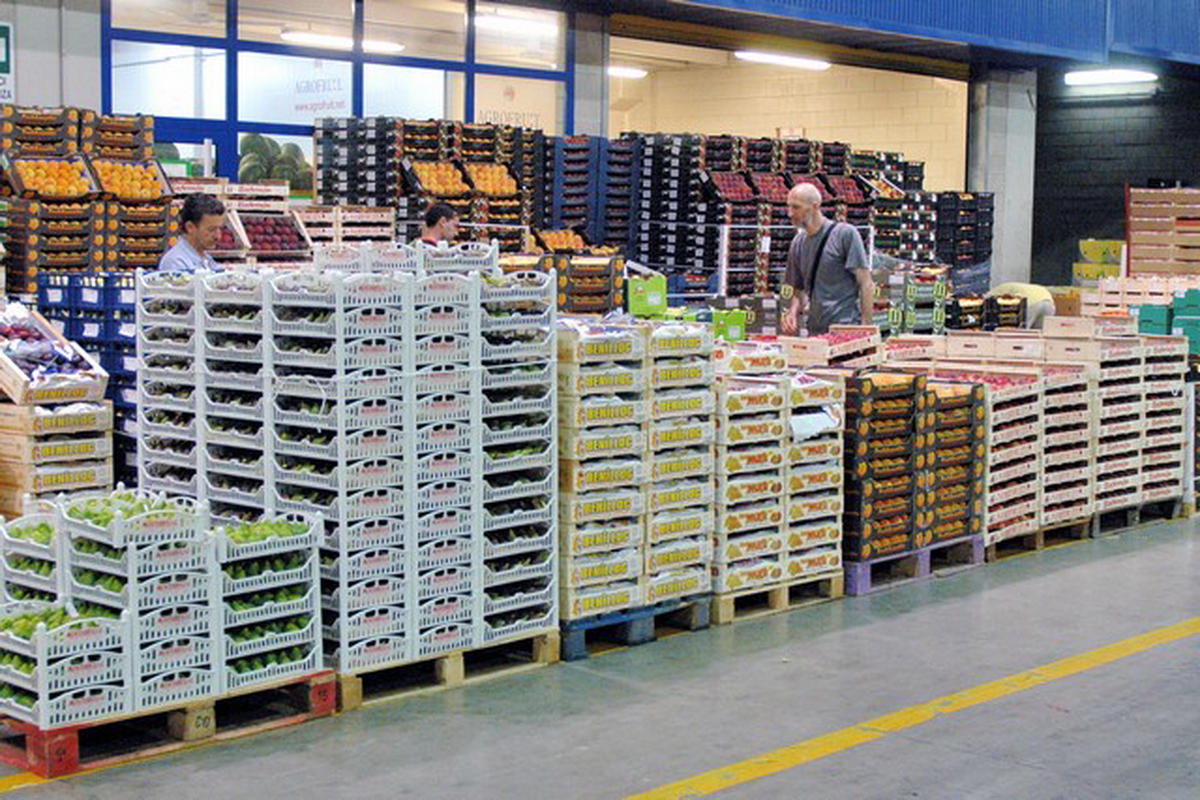 Kazakhstan aligns fruit and vegetable exports with OECD quality standards