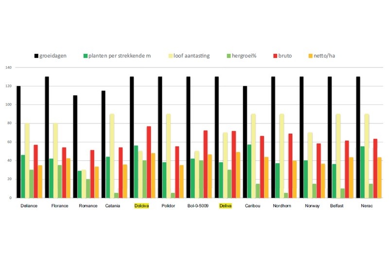 Zaadvaste wortelrassen presteren onder pittige condities