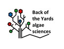 Transforming the enemy into a friend: benefiting from bacteria in vertical farming 2