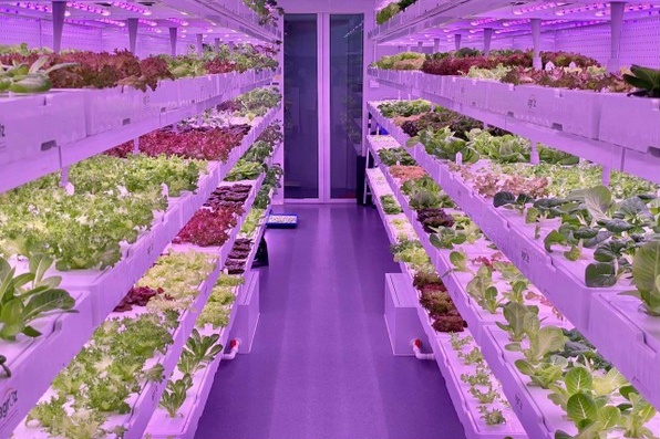 Malaysian Agtech Company Completes Construction Of Vertical Farm