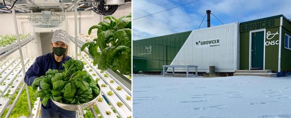 Manitoba farm provides community wide fresh produce range 365 days a year - Vimarsana News