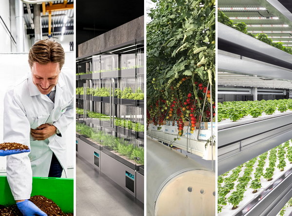 The FoodTech500 2021 listing - Vimarsana News