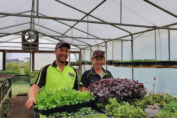 Microgreens, the 'tiny powerhouses' proving popular in New Zealand - Vimarsana News