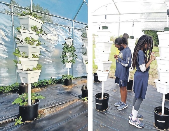 Bahama's vertical school project wins global prize - Vimarsana News