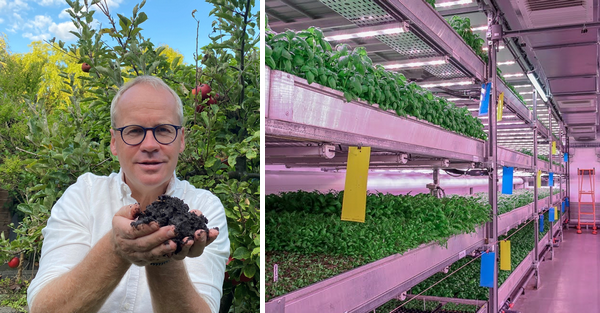 Europe: Vertical farming deserves recognition from the market - Vimarsana News