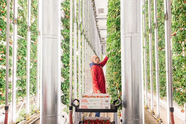 Canada: How Winter Farm reaps with integrated farming approach - Vimarsana News