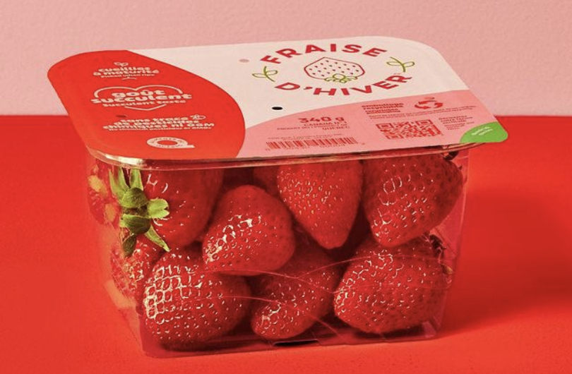 Vertically farmed strawberries available across Quebec - Vimarsana News