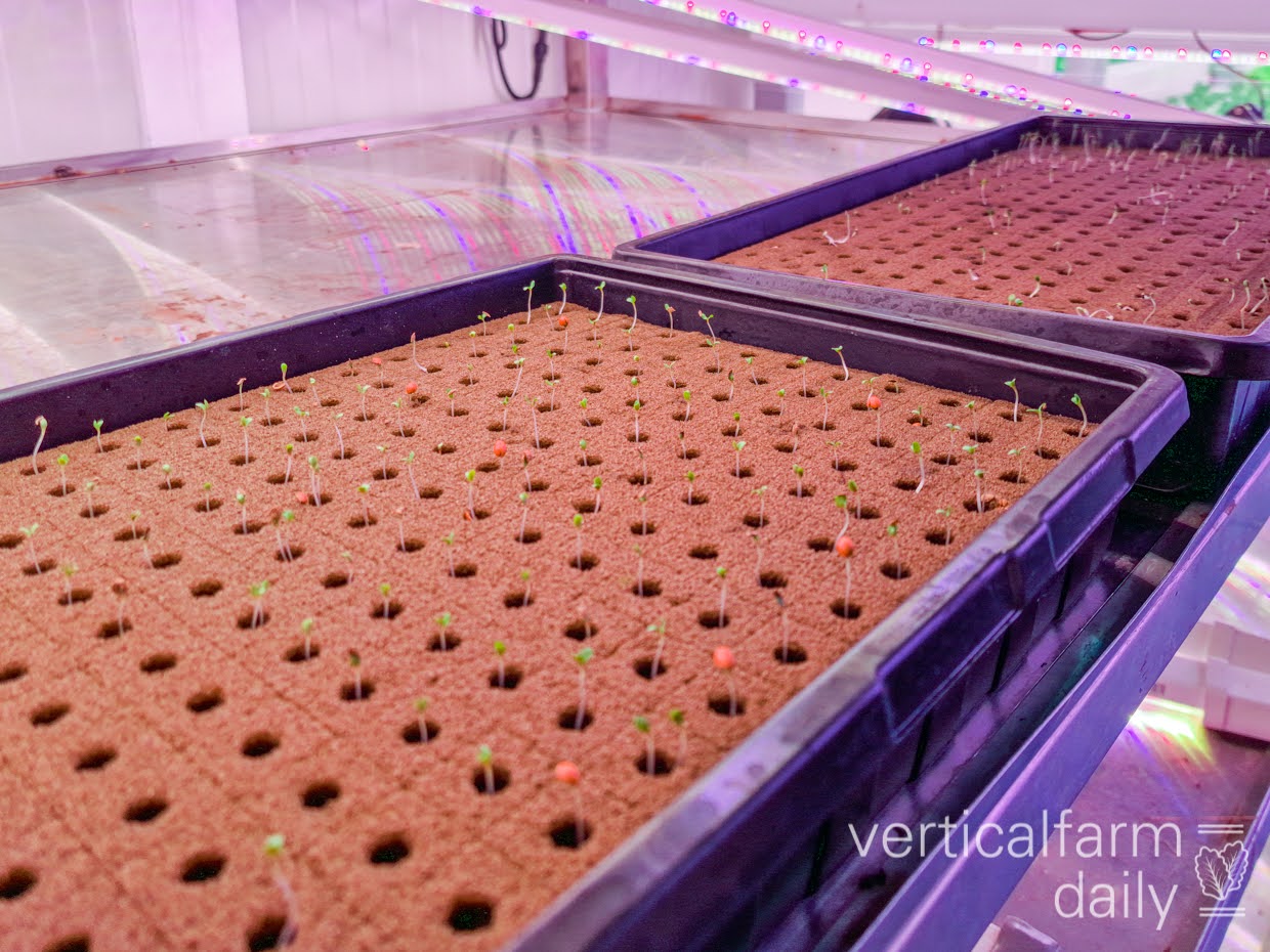 MDARD announces specialty crop block grant opportunity - Vimarsana News