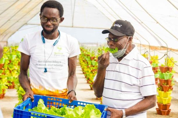 "We don't need sophisticated greenhouses, but a good product that doesn't ruin the farmer" - Vimarsana News