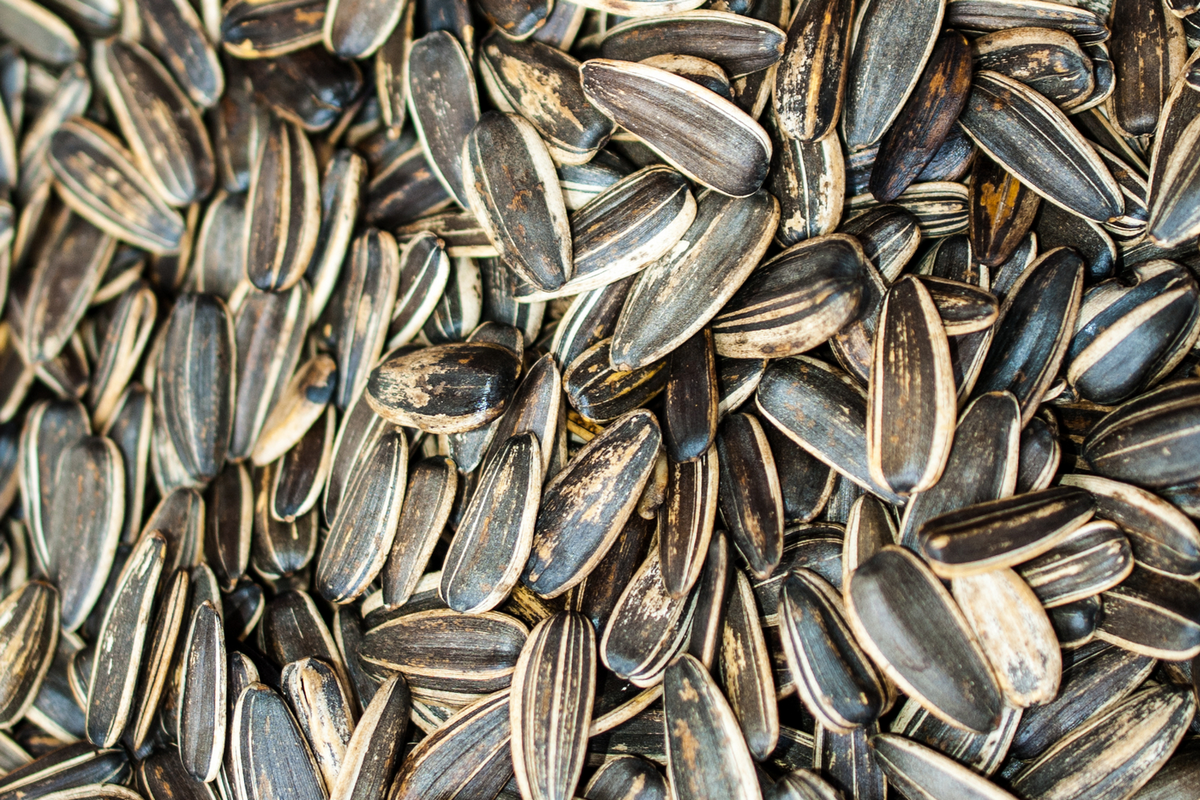 کریستال کراپ I&B Seeds را خریداری می کند