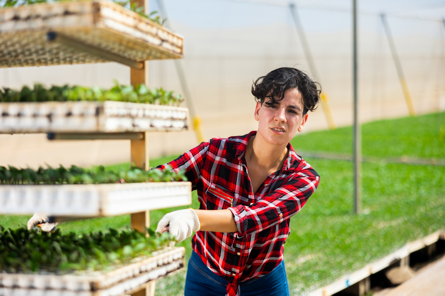 US (NY): Registration open for 2025 Vegetable Expo