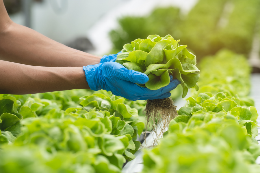 UK consumers increasingly positive about country's agriculture