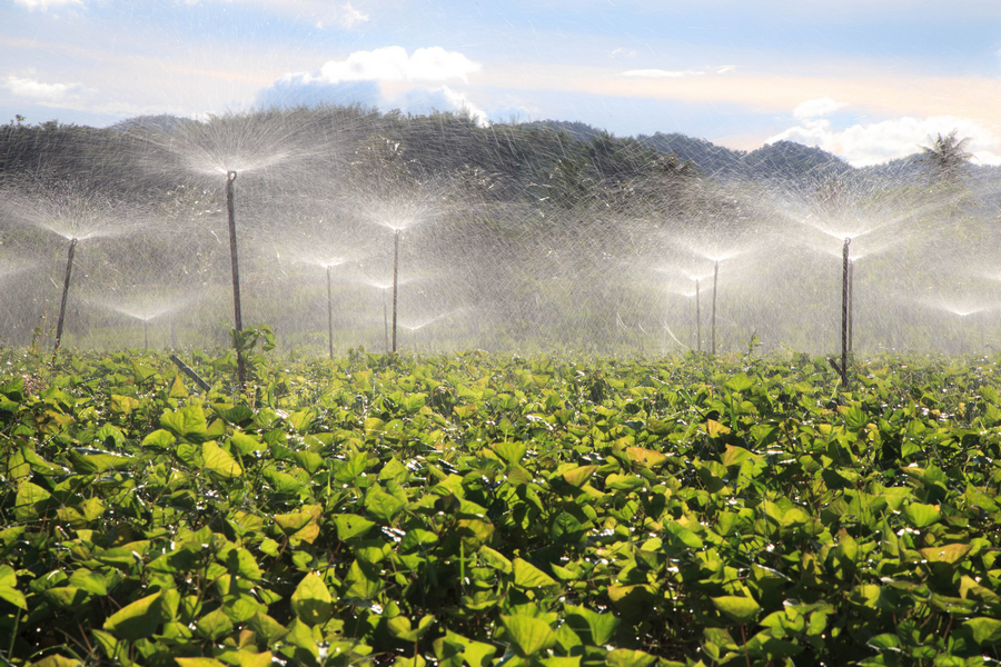 Dutch agriculture mission to Spain seeks to bridge water scarcity for growers