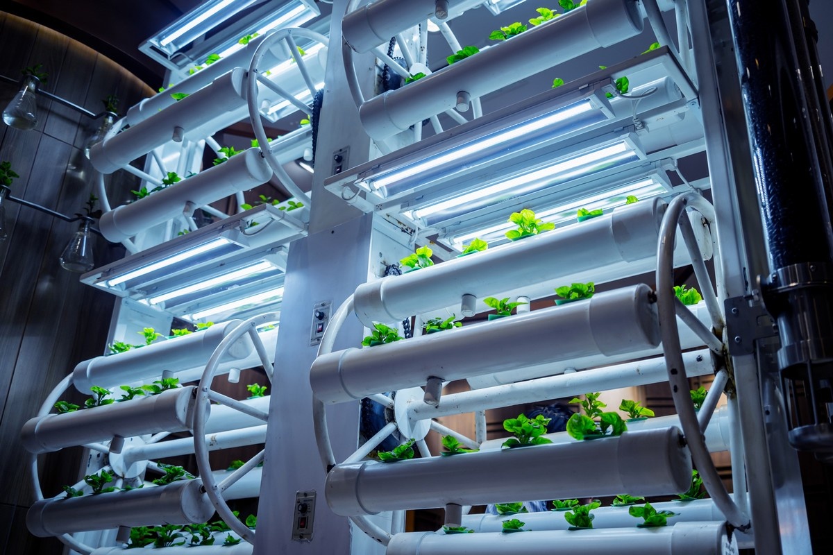 Agricultural landscape