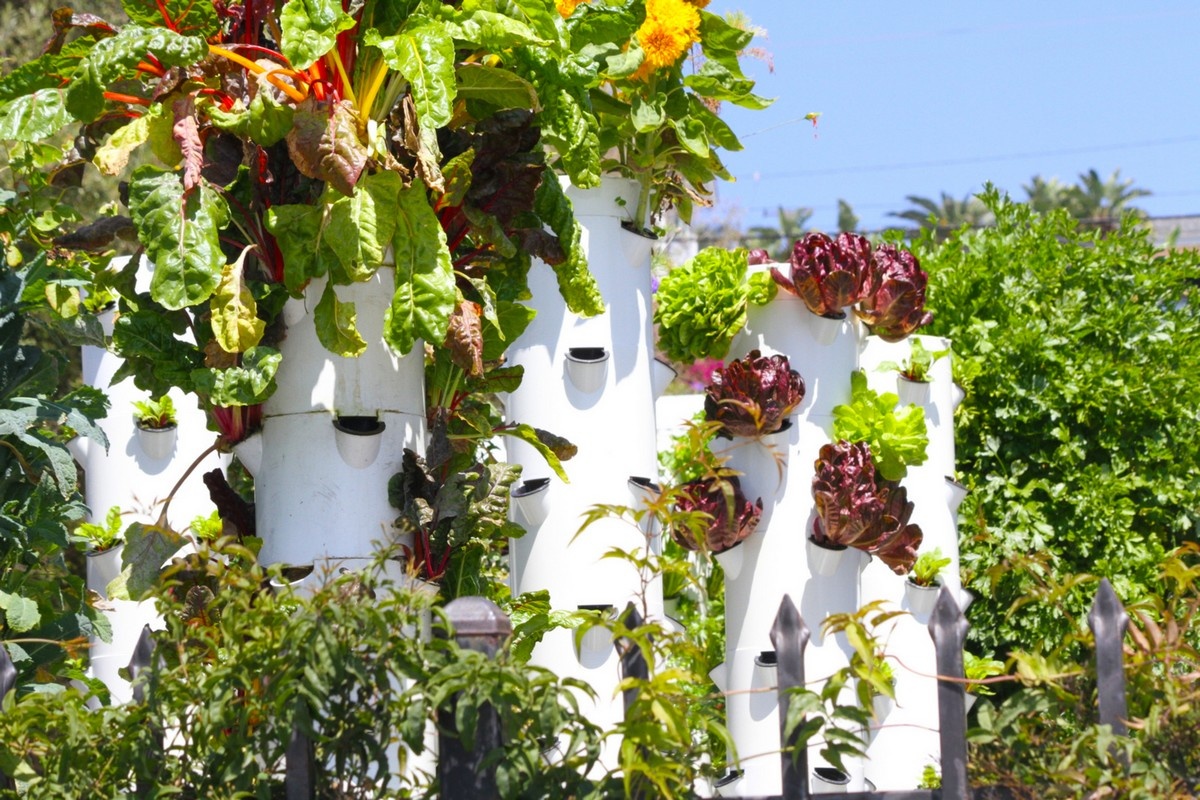 Agrotomy Agrotonomy offering masterclass in aeroponic tower growing