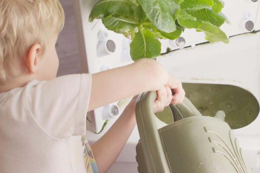 "Kinderen en gezinnen ontwikkelen empathie door het telen van vers voedsel"